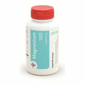 FAGRON Magnesium 500 + vitamín B6 100 tablet obraz