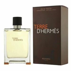 Hermes Terre D Hermes Toaletní voda 100 ml obraz