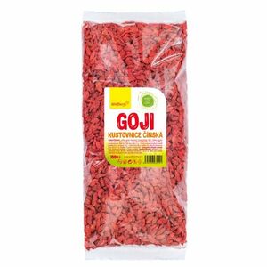 Wolfberry Goji kustovnice čínská sušené plody 1 kg obraz