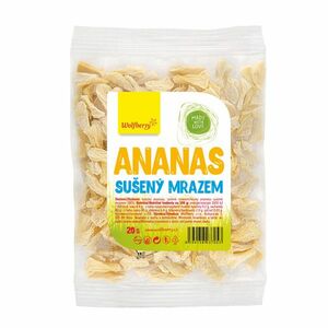 Wolfberry Ananas sušené plody 20 g obraz