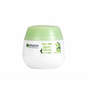 Garnier Skin Naturals Botanical Cream s výtažky z hroznů hydratační krém pro normální až smíšenou pleť 50 ml obraz