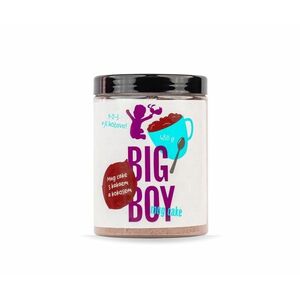 BIG BOY Mug Cake kakao a kokos 480 g obraz