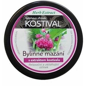 HERB EXTRACT Bylinná mast s kostivalem 100 ml obraz