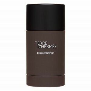 Hermès Terre D'Hermes deostick pro muže 75 ml obraz