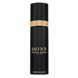 Carolina Herrera Bad Boy deospray pro muže 100 ml obraz