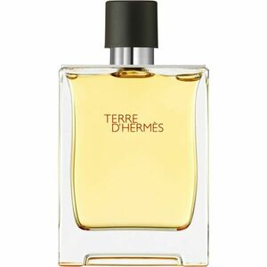 HERMÈS Terre d’Hermès parfém pro muže 200 ml obraz