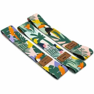 Spokey Home Jungle sada odporových gum (+ obal) obraz