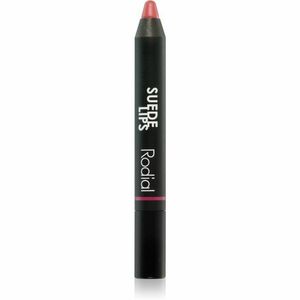 Rodial Suede Lips matná rtěnka v tužce odstín Black Berry 2, 4 g obraz