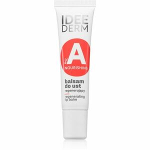 Ideepharm Idee Derm Vitamin A regenerační balzám na rty 12 ml obraz