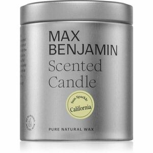 MAX Benjamin Discovery Sun Sparkle California vonná svíčka 200 g obraz