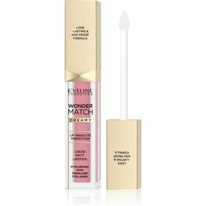 Eveline Cosmetics Wonder Match dlouhotrvající matná tekutá rtěnka s kyselinou hyaluronovou odstín 01 Angel Rose 6, 8 ml obraz