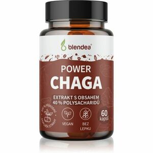 Blendea Chaga Extrakt kapsle s antioxidačním účinkem 60 cps obraz