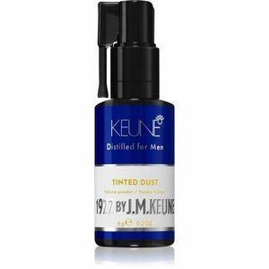 Keune 1922 Tinted Dust pudr na vlasy pro objem a zakrytí šedin 6 g obraz