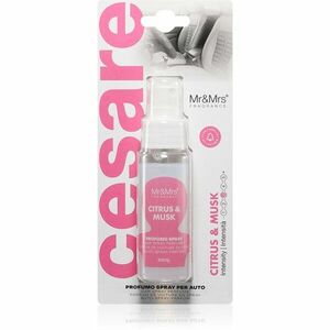 Mr & Mrs Fragrance Cesare Citrus & Musk osvěžovač vzduchu do auta 50 ml obraz