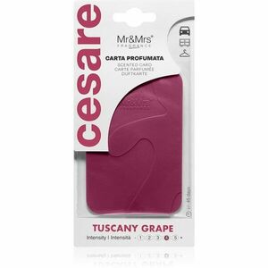 Mr & Mrs Fragrance Cesare Tuscany Grape vonná visačka 1 ks obraz