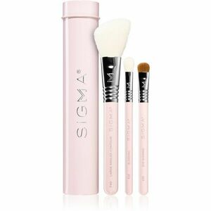 Sigma Beauty Essential sada štětců s pouzdrem obraz