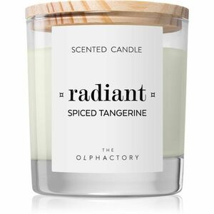 Ambientair The Olphactory Spiced Tangerine vonná svíčka Radiant 200 g obraz