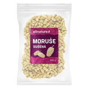 ALLNATURE Moruše sušená 500 g obraz