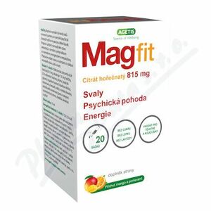 MAGFIT Mango a pomeranč sáčky 20 x 25 ml obraz