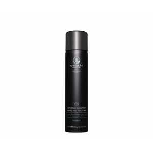 Paul Mitchell Lak na vlasy se střední fixací Awapuhi Wild Ginger (Anti-Frizz Hairspray) 307 ml obraz