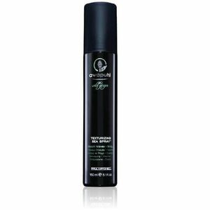 Paul Mitchell Texturizační slaný sprej Awapuhi (Wild Ginger Texturizing Sea Spray) 150 ml obraz