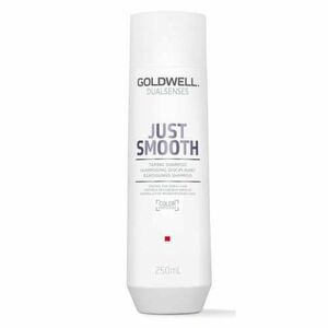 Goldwell Uhlazující šampon pro nepoddajné vlasy Dualsenses Just Smooth (Taming Shampoo) 1000 ml obraz