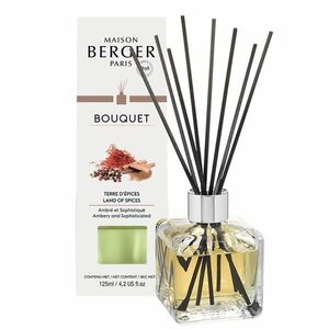 Maison Berger Paris Aroma difuzér Cube Země koření Land of Spices 125 ml obraz