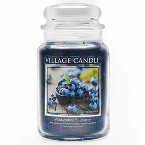 Village Candle Vonná svíčka ve skle Divoká borůvka (Wild Maine Blueberry) 602 g obraz