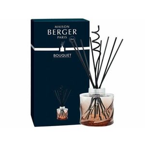 Maison Berger Paris Aroma difuzér Spirale jantarový 222 ml obraz