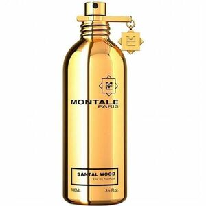 Montale Santal Wood - EDP 100 ml obraz