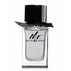 Burberry Mr. Burberry - EDT 50 ml obraz