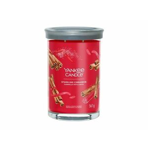 Yankee Candle Aromatická svíčka Signature tumbler velký Sparkling Cinnamon 567 g obraz