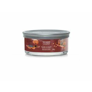 Yankee Candle Aromatická svíčka Signature tumbler střední Autumn Daydream 340 g obraz