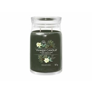 Yankee Candle Aromatická svíčka Signature sklo velké Silver Sage & Pine 567 g obraz