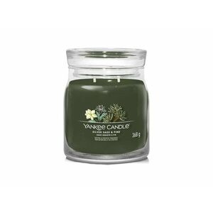 Yankee Candle Aromatická svíčka Signature sklo střední Silver Sage & Pine 368 g obraz