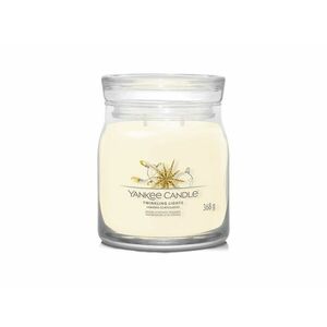 Yankee Candle Aromatická svíčka Signature sklo střední Twinkling Lights 368 g obraz