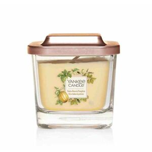 Yankee Candle Aromatická svíčka malá hranatá Tonka Bean & Pumpkin 96 g obraz