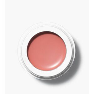 (M)ANASI 7 Přírodní multilíčidlo Beauty Evolution All Over Colour (Multi-Use Organic Cream Colour) 5 g Etruscan obraz