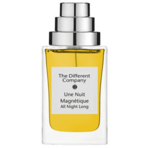 The Different Company Une Nuit Magnetique - EDP 100 ml obraz