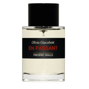 Frederic Malle En Passant - EDP 100 ml obraz