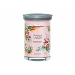 Yankee Candle Aromatická svíčka Signature tumbler velký Desert Blooms 567 g obraz