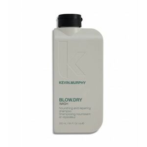 Kevin Murphy Vyživující a obnovující šampon Blow.Dry Wash (Nourishing and Repairing Shampoo) 250 ml obraz