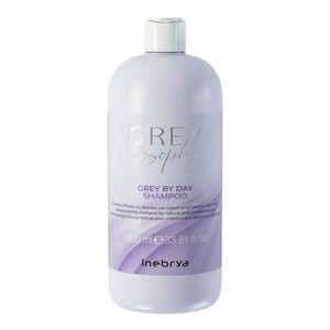 Inebrya Šampon neutralizující žluté tóny šedých a platinových vlasů Grey By Day (Shampoo) 1000 ml obraz