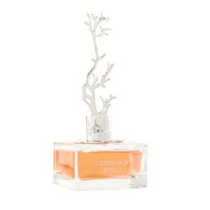 Aurora Scents Deciduous Spring - EDP 100 ml + EDP 9 ml obraz