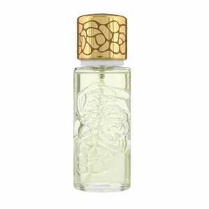 Houbigant Quelques Fleurs Jardin Secret - EDP 100 ml obraz