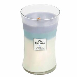 WoodWick Vonná svíčka váza velká Trilogy Calming Retreat 609, 5 g obraz