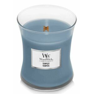 WoodWick Vonná svíčka váza Tempest 275 g obraz