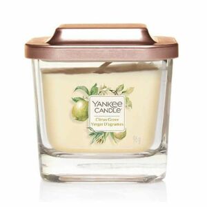 Yankee Candle Aromatická svíčka malá hranatá Citrus Grove 96 g obraz