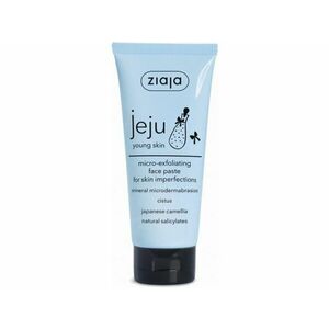 Ziaja Mikro-exfoliační pleťová pasta (Micro-Exfoliating Face Paste) 75 ml obraz