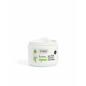 Ziaja Pleťový krém Cucumber (Face Cream) 100 ml obraz